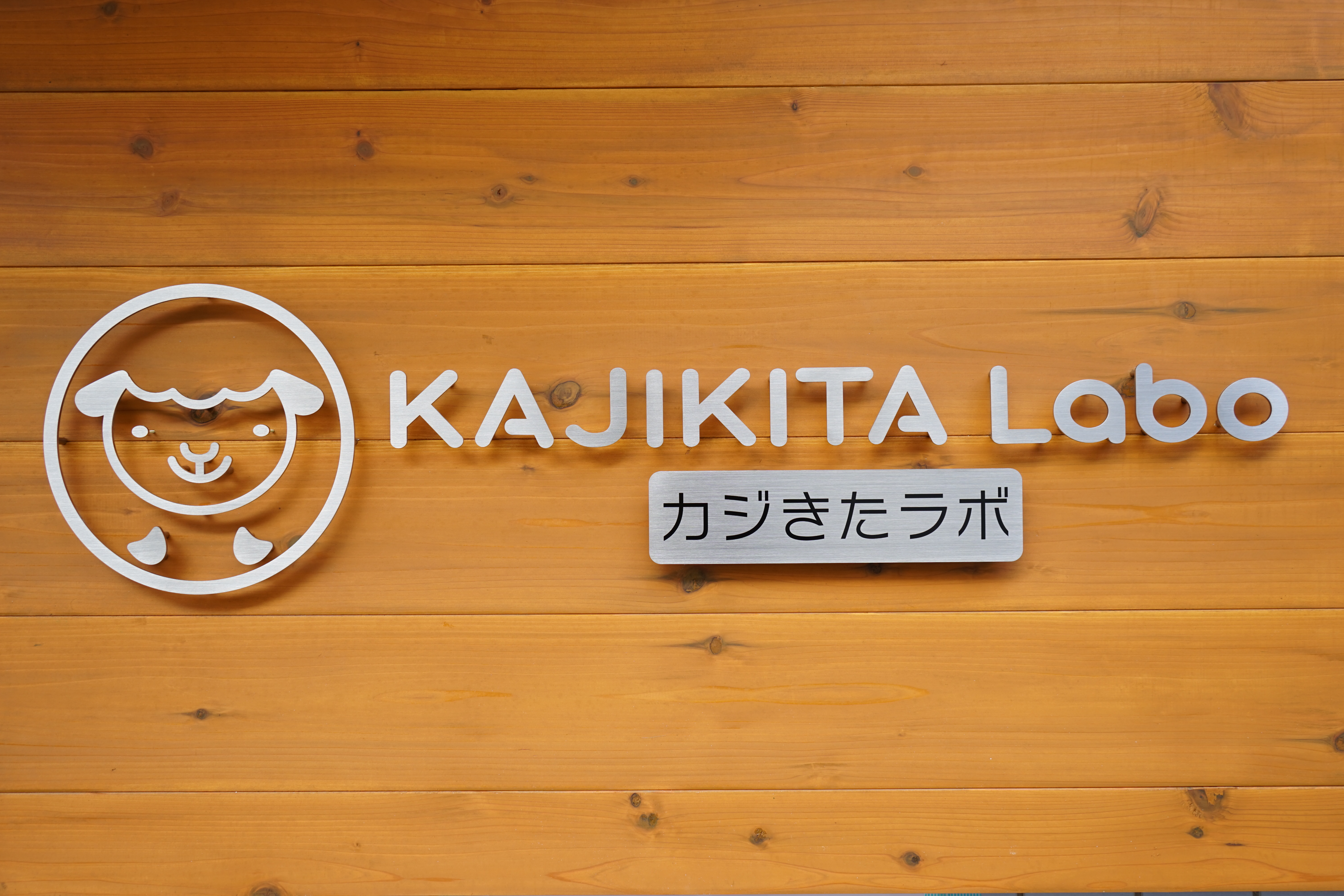 カジきたラボ