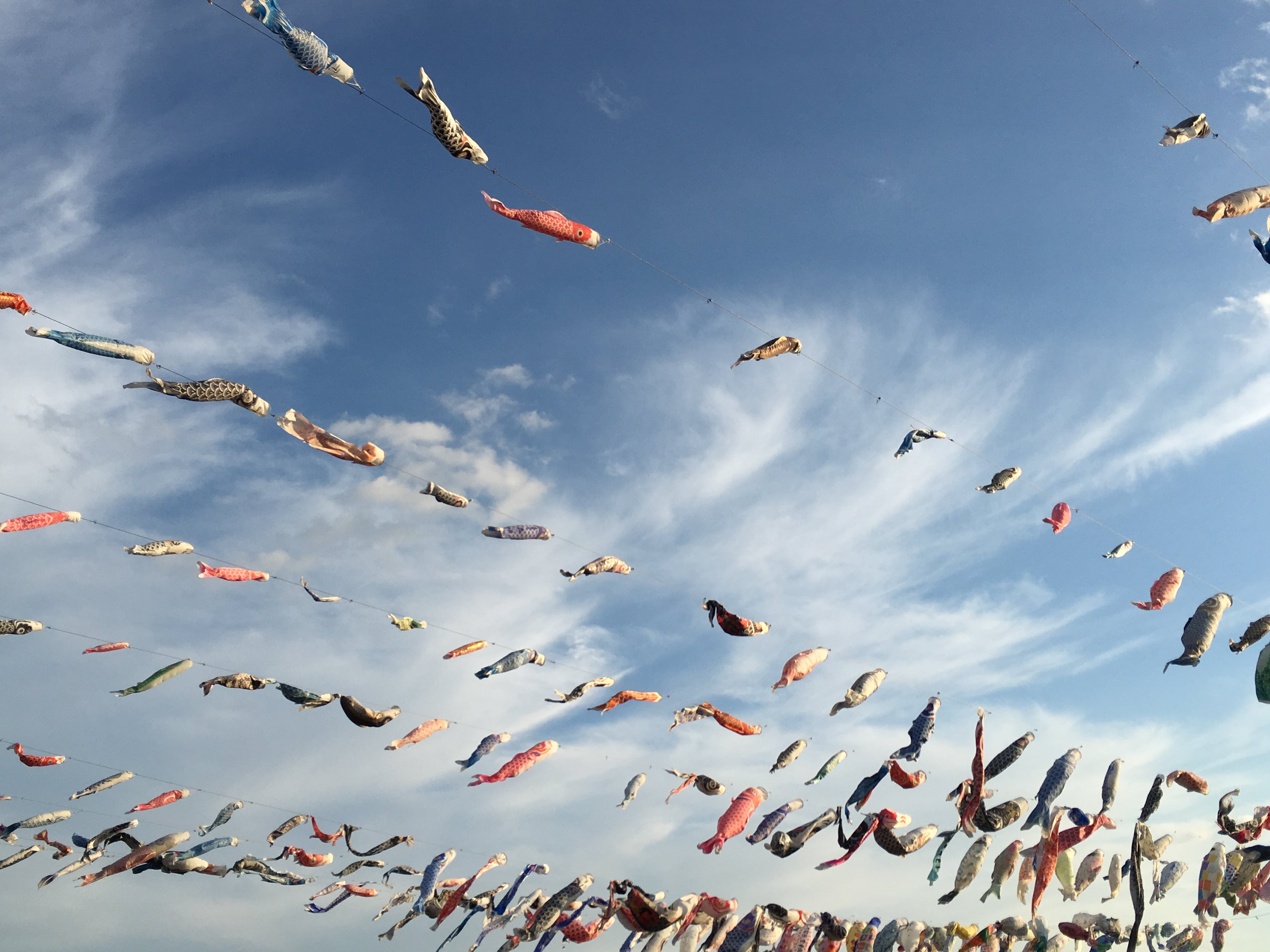 カジきたラボ, 連休, 体験授業